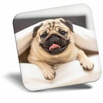 Awesome Fridge Magnet - Funny Tan Pug Dog in Bed Cool Gift #15987