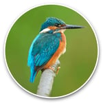Awesome Vinyl Stickers (Set of 2) 7.5cm - Kingfisher Blue Small Bird Fun Decals for Laptops,Tablets,Luggage,Scrap Booking,Fridges,Cool Gift #45471