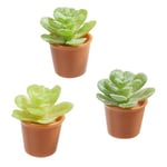 Hobby and Crafting Fun Miniatyr Succulent med Brun Kruka - 2,3 cm 3 st