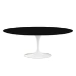 Knoll - Saarinen Oval Table - Matbord 198 x 121 cm Vitt underrede skiva i Svart laminat - Matbord
