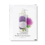 100% Pure Burdock & Neem Healthy Scalp Shampoo PROV