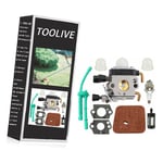 Toolive - Kit de carburateur de ligne de carburant pour remplacer débroussailleuse stihl FS38 FS45 FS55