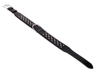Nobby Halsband Buffel Darco 50mm x 70cm Svart Med Nitar