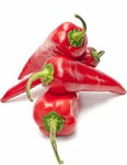 Frukt & Grönsaker Spetspaprika Röd