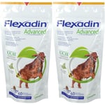 Flexadin® Advanced Chien