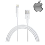 Cable Ligthing 2m Pour Ipad Mini D'origine Apple Data Et Charge