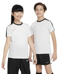 Nike Dri-Fit Academy23 White/Black/Bright Crimson 60