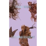 Kristinafragment (bok, danskt band)
