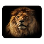 Mousepad Computer Notepad Office Head Lion Portrait on Black Big Adult with Rich Mane Africa Face Safari Dark Front Home School Game Player Computer Worker Inch
