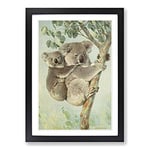 Big Box Art Vintage Karl Ludwig Hartig Koala Framed Wall Art Picture Print Ready to Hang, Black A2 (62 x 45 cm)