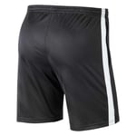 Nike Dry Academy 19 Shorts Black 2XL Man