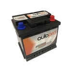Autopro - Batterie 1er prix smf AR-L1B 50AH 400 amps 207x175x175 +d
