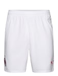 PUMA Ac Milan Shorts Replica Vit
