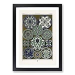 Big Box Art A Persian Pattern by Albert Racinet Framed Wall Art Picture Print Ready to Hang, Black A2 (62 x 45 cm)