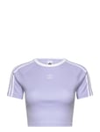 3 S Baby Tee Sport Crop Tops Short-sleeved Crop Tops Purple Adidas Originals