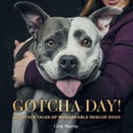 Greg Murray - Gotcha Day Adoption Tales of Remarkable Rescue Dogs Bok