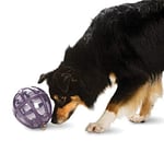 Premier PetSafe Busy Buddy Kibble Nibble Meal Dispensing Dog Toy