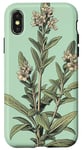 iPhone X/XS Leaves Botanical Flower Plant Line Art Sage Green Case