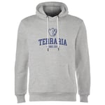 Terraria Since 2011 Hoodie - Grey - XL - Grey