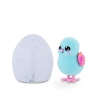 Little Live Pets  Surprise Chick  Cute Interactive Collectible Toy Chick Chirps