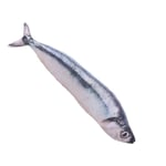 Gosedjur Fisk Kudde Fisk Plyschleksak Fisk Plyschkudde Fylld Fisk Kudde