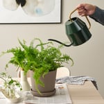 IKEA IKEA VATTENKRASSE vattenkanna, svartgrön/guldfärgad, 2.0 l, l 2.0 l