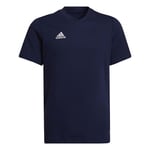 adidas Unisex Kids T-Shirt (Short Sleeve) Ent22 Tee Y, Tenabl, HC0445, 164 EU