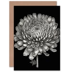 Chrysanthemum Flower Bloom for Wife Her Birthday Thank You Blank Greeting Card