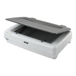 ENJOYDEAL EPSON Scanner à plat Expression 12000XL - DIN A3 2400 ppp x 4800 USB 2.0