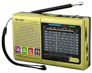 Rechargeable AM ​​/ FM/SW Radio Small shortwave Radio/Wide FM Compatible / MP3 Player, Convenient to Carry, with Bluetooth Function, USB Memory/TF Card Compatible Radio/Speaker (Gold)