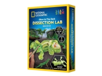 National Geographic Gecko Dissection Lab