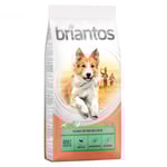 10 % rabatt! 12/14 kg Briantos torrfoder - Adult Sensitive Lamm & ris (14 kg)