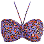 Santiago Nights Bikini top Bandeau Leopard, Freya