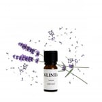 Doftolja Eterisk | Lavendel 10ml | Klinta