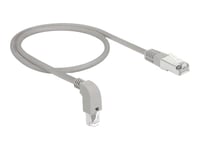 Delock - Patch-Kabel - Rj-45 (Hane) Vinklad Nedåt Till Rj-45 (Hane) Rak - 50 Cm - 0.56 Cm - Sf/Utp - Cat 5E - Halogenfri, Formpressad, Tvinnad - Grå
