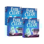 EverClean Senior 4x10 L
