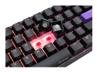 Ducky One 2 Mini - Tastatur - bakgrunnsbelyst - USB-C - Sveitsisk - tastsvitsj: CHERRY MX Speed RGB Silver-svitsjer - svart