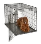 MidWest Homes for Pets Modèle 1542DDU Cage pour chiens iCrate 106,68 cm, modèle amélioré, une porte, comprenant un plateau étanche, des pieds protégeant le sol, Noir