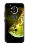 Gold Arowana Fish Case Cover For Motorola Moto G6 Play, Moto G6 Forge, Moto E5