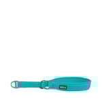 Rufus Halvstryp Halsband Turkos - 35-45 cm