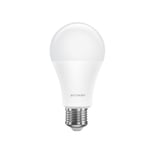 BW-LT21 Smart LED-lampa