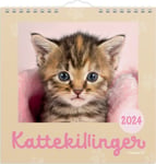 Mayland 2024 Vægkalender | Kattekillinger