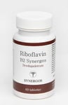 B vitamin B2 Riboflavin Synergos 60 tabl