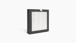 Raise3D Pro2 / Pro3 Replacement Air Filter