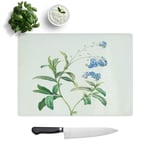 Water Forget-Me-Not Flowers by Pierre-Joseph Redoute Toughened Glass Chopping Board Kitchen Worktop Saver Non-Slip, 39 x 28.5 cm