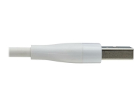 Eaton Tripp Lite Series Safe-IT Universal USB-A to Lightning, USB Micro-B and USB-C Sync/Charge Antibacterial Cable (M/3xM), MFi Certified, White, 4 ft. (1.2 m) - USB-kabel - USB hane till mikro-USB typ B, Lightning, 24 pin USB-C hane - 1.2 m - vit