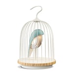Daqi Concept Jingoo bordslampa/högtalare lóiseau bleu