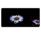 Morain Grand Tapis de Souris de Jeu (39,7 x 31,5 x 0,3 cm) avec Bords Cousus, Tapis de Souris étendu, Base en Caoutchouc Naturel antidérapant, Durable, Tapis de Clavier Lavable, Fleur 18