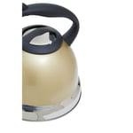 Light Gold Whistling Kettle 3.0L Stainless Steel Tea Stove Top Camping Heaters