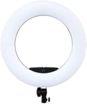 AJH Led Ring Light with Stand and Phone Holder, Camera Photo Video Lighting Kit, 96w Selfie Light Video Ring Light Lamp, with Light Stand Bag Led Right